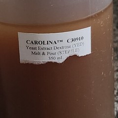 Carolina C30910 Yeast Extract Dextrose YED 350ml. Melt Pour Sterile Science Lab