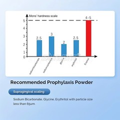 2/4 H Dental Air Polisher Teeth Polishing Handpiece Air Flow Prophy Jet Hygiene