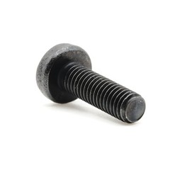 Stainless Screws for Toyota RAV4 License Plates (Set of 4, Black, Rear)