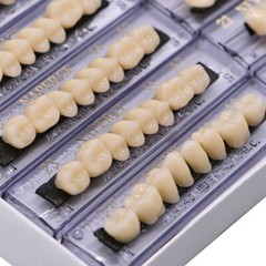 168pcs Acrylic Resin Denture 23#A3 Shade Dental Teeth Upper Lower Full Set Tooth