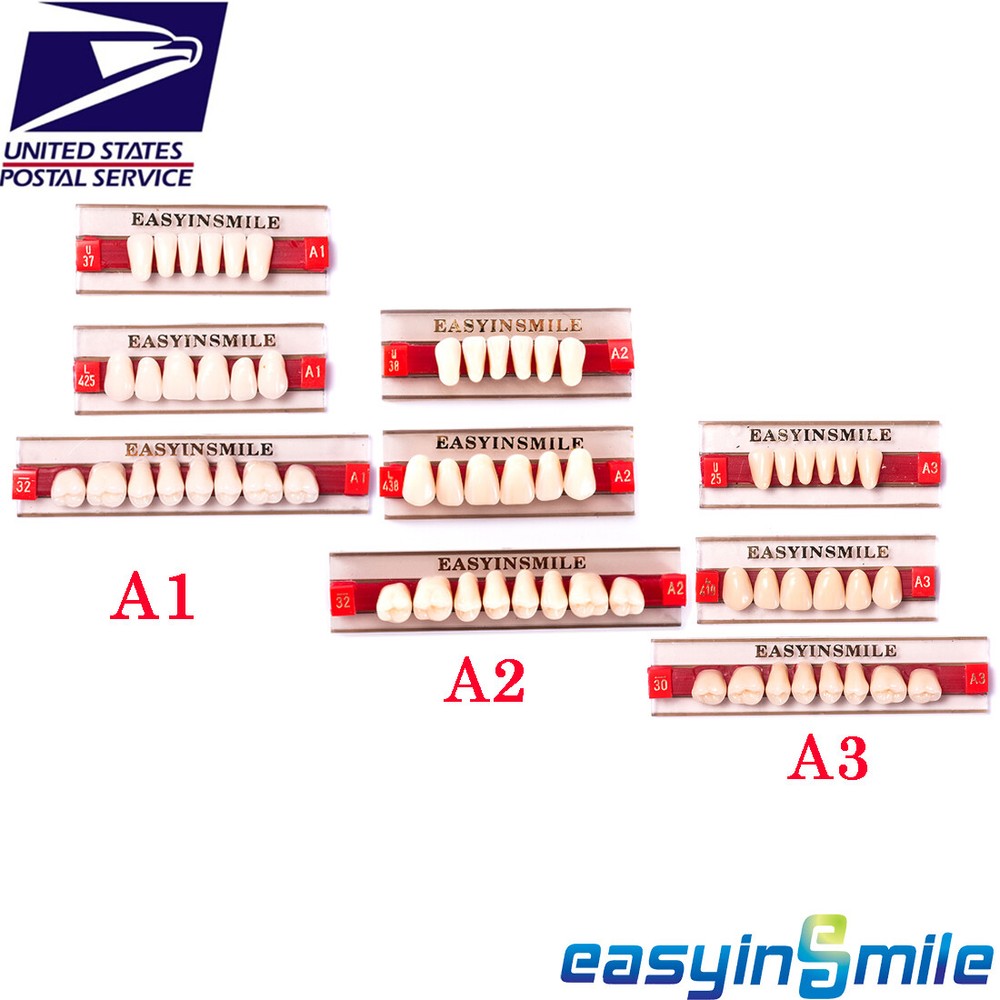 Dental Acrylic Resin Denture Teeth False DIY Full Set Anterior Posterior A1A2A3