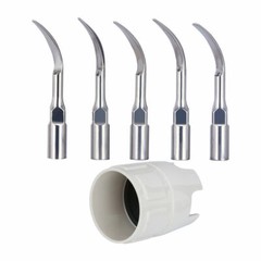Dental Built-in Scaling ＆ Perio Ultrasonic Scaler Handpice Fit Woodpecker/EMS