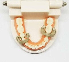 Palodent V3 Plus Style Dental Sectional Matrix Band Narrow Ring Clamp