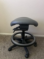 Thermo Fisher Scientific ERG-CR-2330 Ergolign Stool
