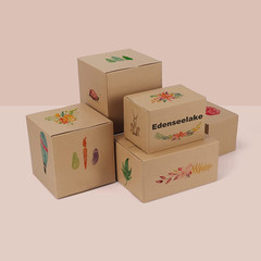 40 Pack 6X6X6 Inches Shipping Boxes Small Cardboard Boxes for Packing, Moving, M