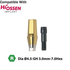 Titanium Straight Abutment Compatible with Osstem Hiossen TS Regular DIO UFII R