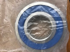 AMCAN SS6309 2RS FM222 Blue Stainless Steel Bearing