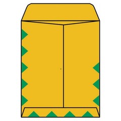 Open End First Class Catalog Envelopes, 10″ x 13″, 28#, First Class Green