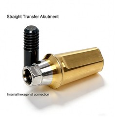 Hiossen Dental Straight Titanium Cemented Abutment Hex Fit Implant Crown Bridge
