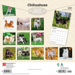 Chihuahuas | 2027 12×24″ (Hanging) Monthly Wall Calendar | Plastic-Free