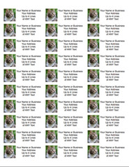 60 Personalized Address Labels with Your Pet Photo Custom Stickers Tag Free Ship