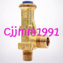 1PC NEW CASTEL Safety Pressure Relief Valve 3061/4TS280（NPT 1/2 28KG) #YT