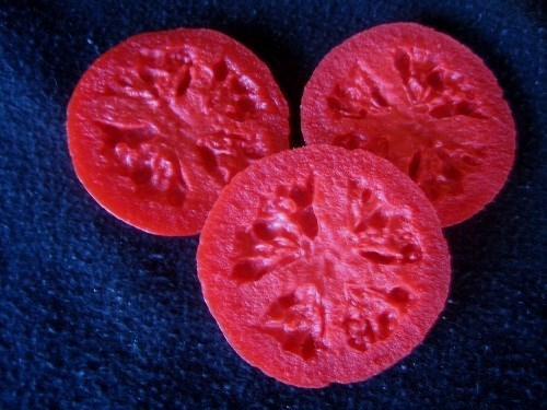 Wax Tomato Slices, Fake Food Veggies, 10 pieces.