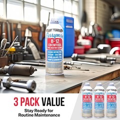 Berryman B12 Chemtool Fuel Injector Cleaner Solution 15oz Carburetor Towel