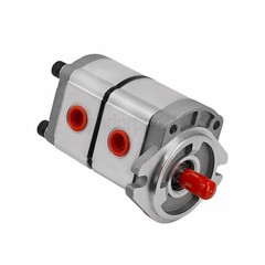 NEW Hydraulic Pump Double Acting Two Section for AGT-H15R Mini Excavators