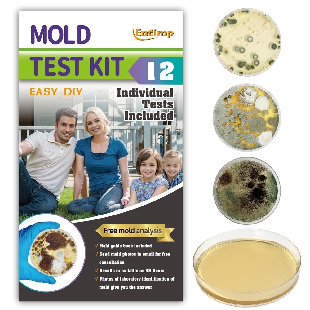 Mold Test Kit for Home Within 12 Individual Tests,DIY Detector at Home, Surf…