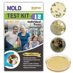 Mold Test Kit for Home Within 12 Individual Tests,DIY Detector at Home, Surf…