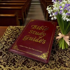Bible Study Guide 66 Books Large Print Hardcover Journal Reflection Pages Script