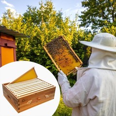 10-Frame Medium Super Bee Box Wax Coated Beehive Langstroth Honey Super Bee Box