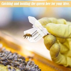 5pcs/set Beekeeping Queen Bee Cage Catcher Clips – Transparent Plastic