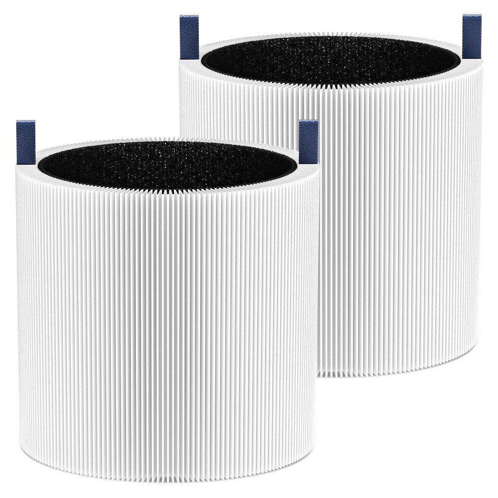 2 Pack Mini Max Replacement 8.9 x x 5.9 inches, 2 Filter