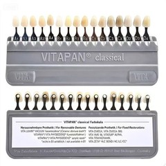 2* VITA Classical Shade Guide A1-D4 16 Colors Dental Teeth Whitening USA