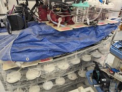 Medical Industries America Inc Model 601 Portable Vacuum Suction Pump