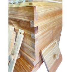 Auto Shed Full Set 10 X Beehive Honey Hive Frame +Mini Beekeeping Brood Box