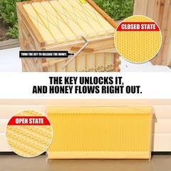 Automatic Beehive House Beekeeping Bee Hives Boxes + 7pcs Auto Honey Hive Frames