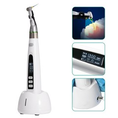 Portable Dental Ultrasonic Piezo Scaler + 5 Tips fit Cavitron/EMS/DTE/SATELEC AA