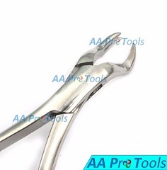 AA Pro: Dental Extracting Forceps 88R & 88L Molars Tooth Surgical 2 Pcs