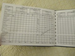Dome Simplified Home Budget Book (Vintage)
