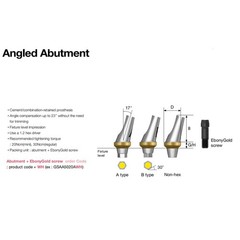 Hiossen ET Dental TI Cement-retained restoration 17° Angulated Abutment M/R Hex