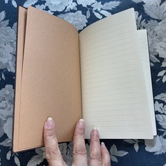 Paperblanks Hartley & Marks Nocturnelle Lined Softcover Journal Notebook NEW
