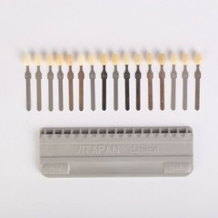 Dental VITA Toothguide 3D Master with Bleached Shade Guide 29 Colors 16 Colors