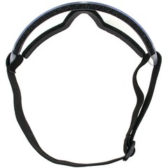 Birdz Eyewear Wing Skydiving & Sports Padded Riding Goggles Black Frame Clear
