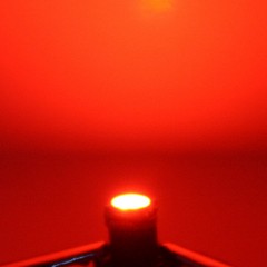 12 Volt LED with Resistor Warm White Red Warm White Model Making Cable 5050 3528