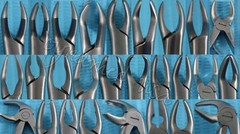 GERMAN 10 GERMAN EXTRACTING FORCEPS EXTRACTION DENTAL INSTRUMENTS-A+ QUALITY