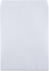 100 Count 9×12 Security Tinted Catalog Envelopes – Reliable Mailing Solution