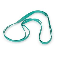 Plasticplace Rubber Bands for 95-96 Gallon Trash Cans, 30″, 5 Count Green
