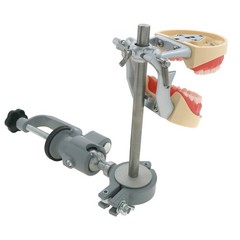 Kilgore NISSIN 200/500 Type Dental Typodont Model With Screw-in Removable Teeth