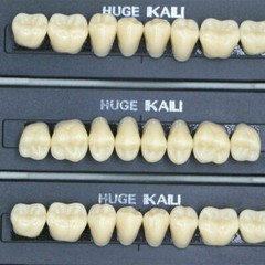 Dental Resin Teeth Complete Denture False Tooth Synthetic Polymer Teeth 112pcs
