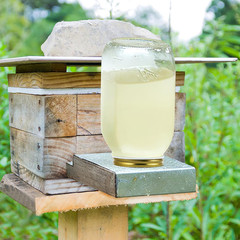 Bee Feeder Lids for Mason Jar- 8Pcs Metal Bee Feeders Entrance Beehive Lid- Beeh