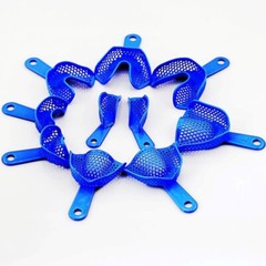 2Pcs/10Pcs Dental Autoclavable Plastic-Steel Impression Trays Blue Denture Model