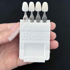 Dental 16 A–D Shade Guide 4 Bleach Shades Bleach Classical Based Vita 20Shades