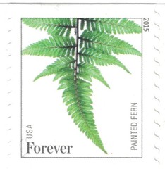 United States Postal Service Usps Ferns – 25