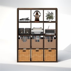 Pemberly Row 12-Cube Media Storage Organizer in Amber Pine Engineered Wood