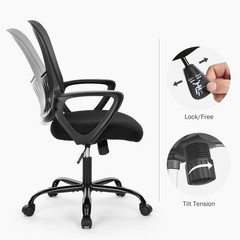 edx Desk Chair with Ergonomic Lumbar Support for Home, Office, Bedroom, 250lbs