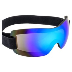 Birdz Wren Skydiving Snowboarding Motorcycle Riding Goggles Blue Mirror Lens