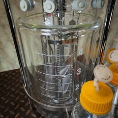 4L Sartorius-Type Jacketed Double Wall Glass Bioreactor Fermenter Vessel